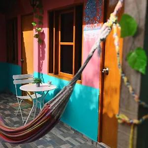 New Casa Dora Colômbia